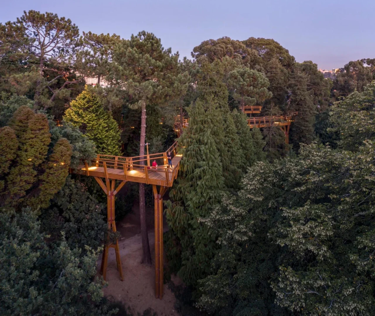 Timber canopy walkway rising through the trees of Serralves Park in Porto