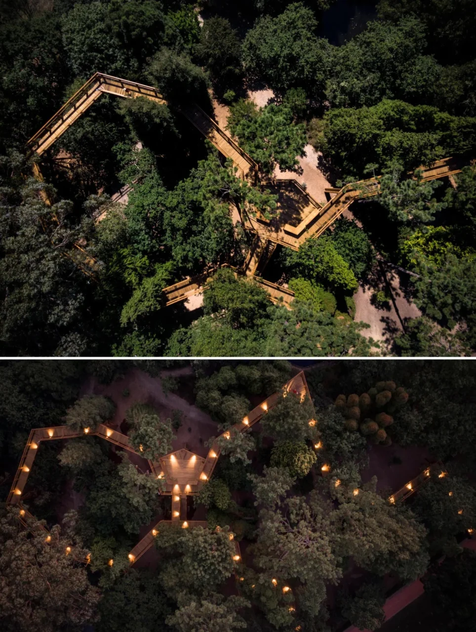 Canopy walkway with lighting set among the treetops