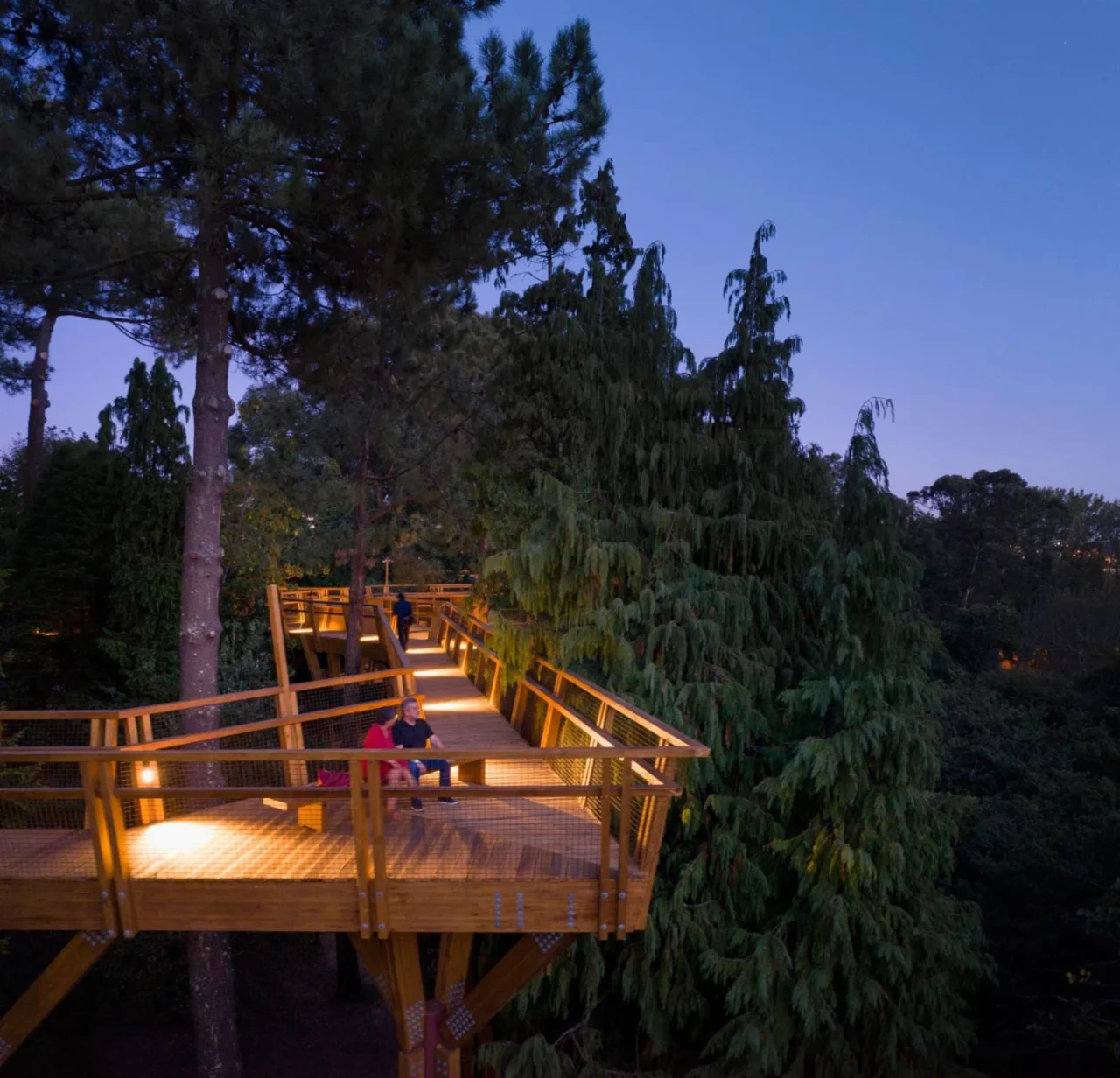 Canopy walkway lit at dusk for evening walks