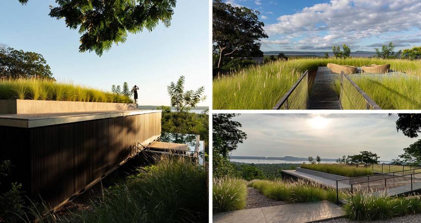 the-green-roof-on-this-home-has-tall-grasses-surrounding-a-seating-area