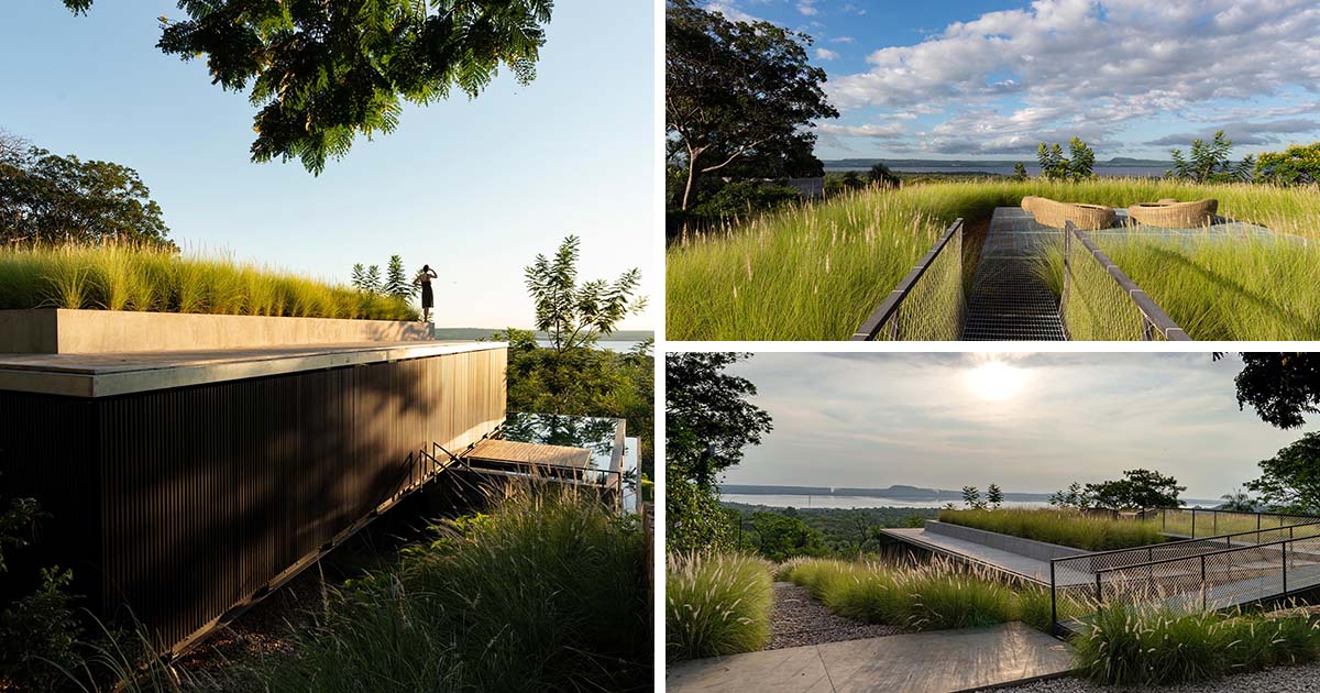 the-green-roof-on-this-home-has-tall-grasses-surrounding-a-seating-area