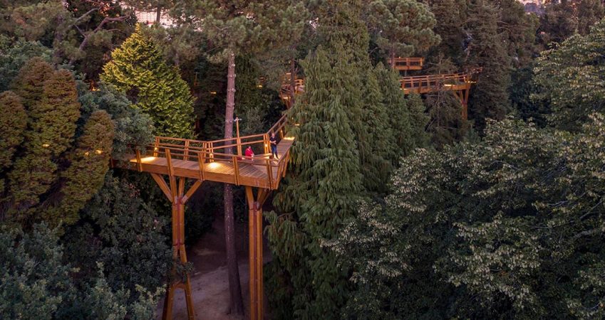 a-treetop-canopy-walk-in-portugal-provides-a-unique-view-of-the-trees