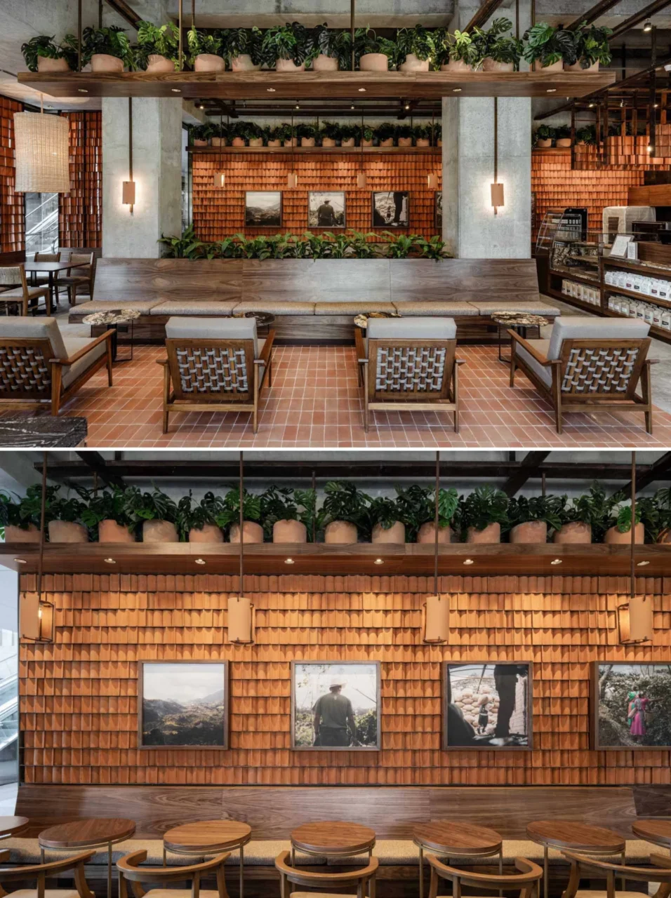 Coffee shop interior with plants, clay tiles, wood and raw concrete