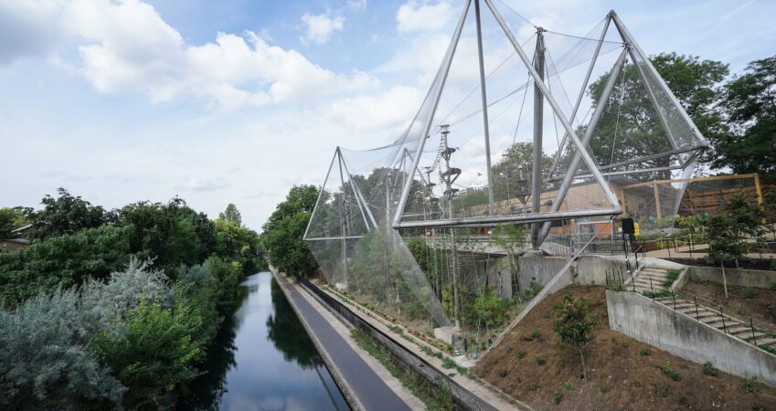 london-zoo's-snowdon-aviary-reinvented-as-monkey-valley-–-adc