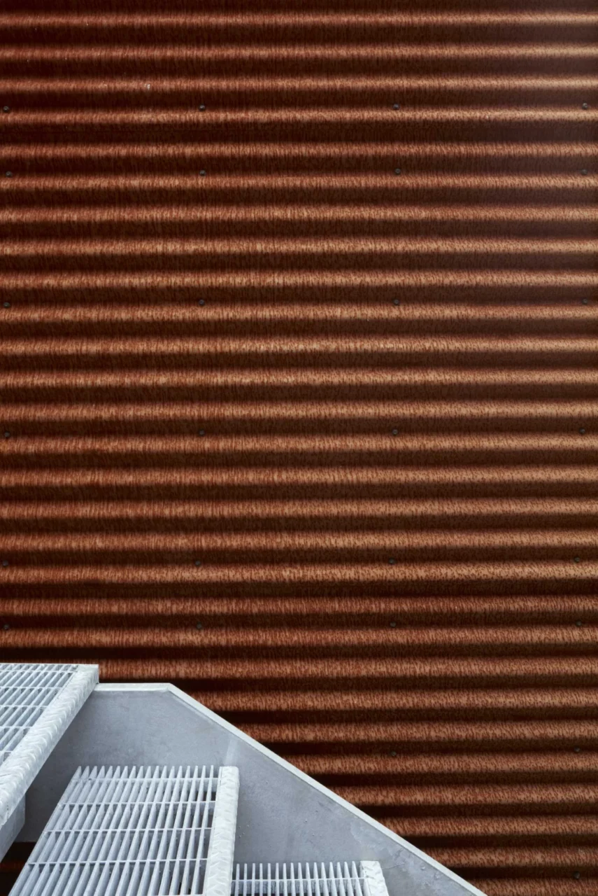Weathered corrugated steel facade among conifers on the forest edge