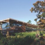 best-practice-for-low-carbon-timber-construction-–-adc