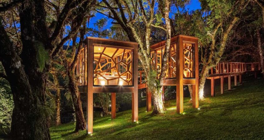 a-modern-tree-house-with-two-rooms