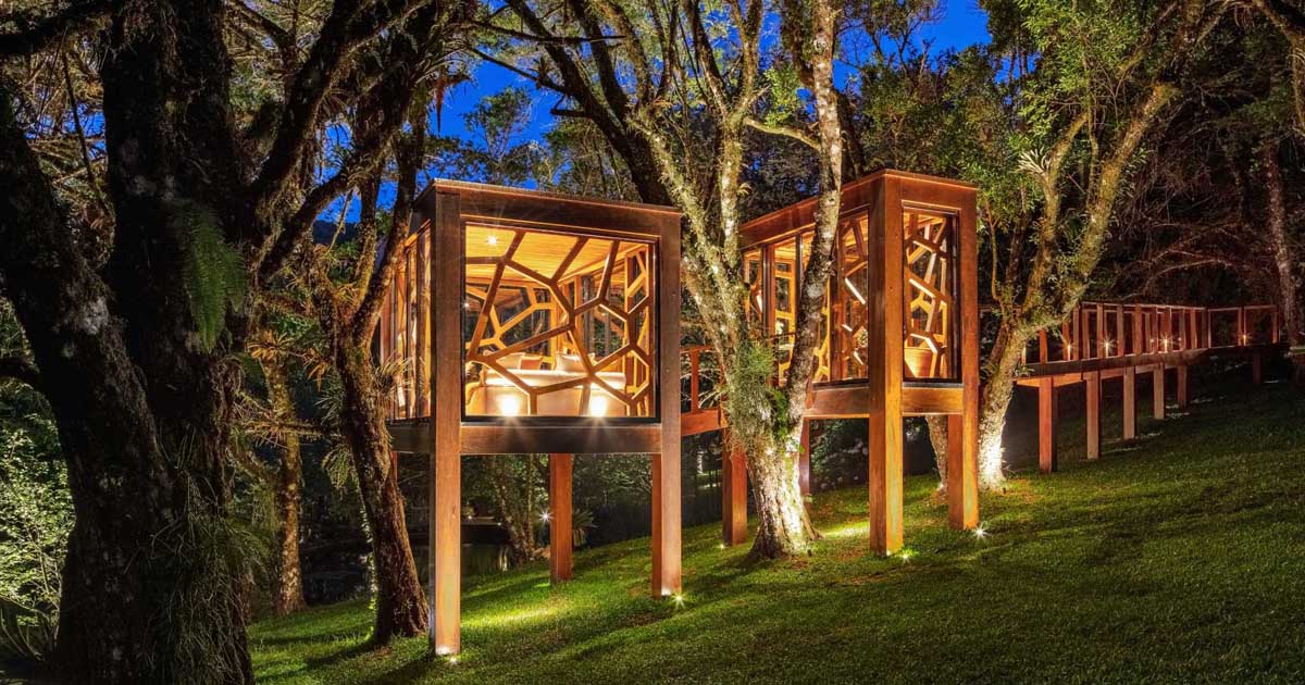 a-modern-tree-house-with-two-rooms