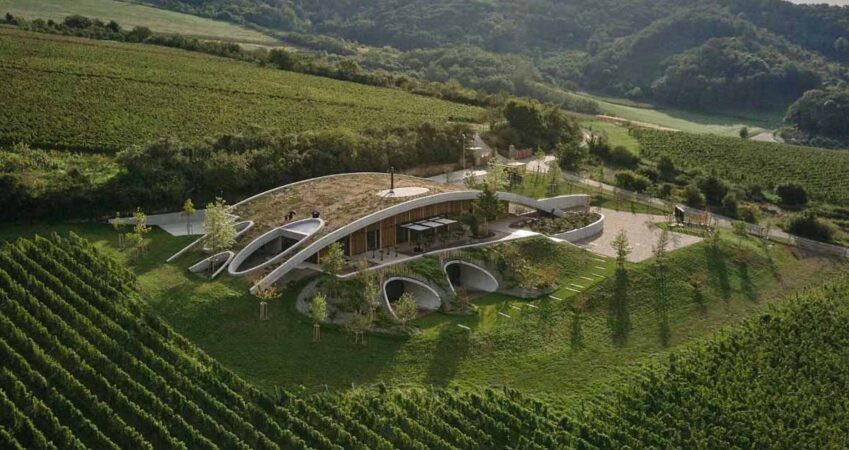 a-curved-green-roof-allows-this-winery-to-blend-into-the-landscape