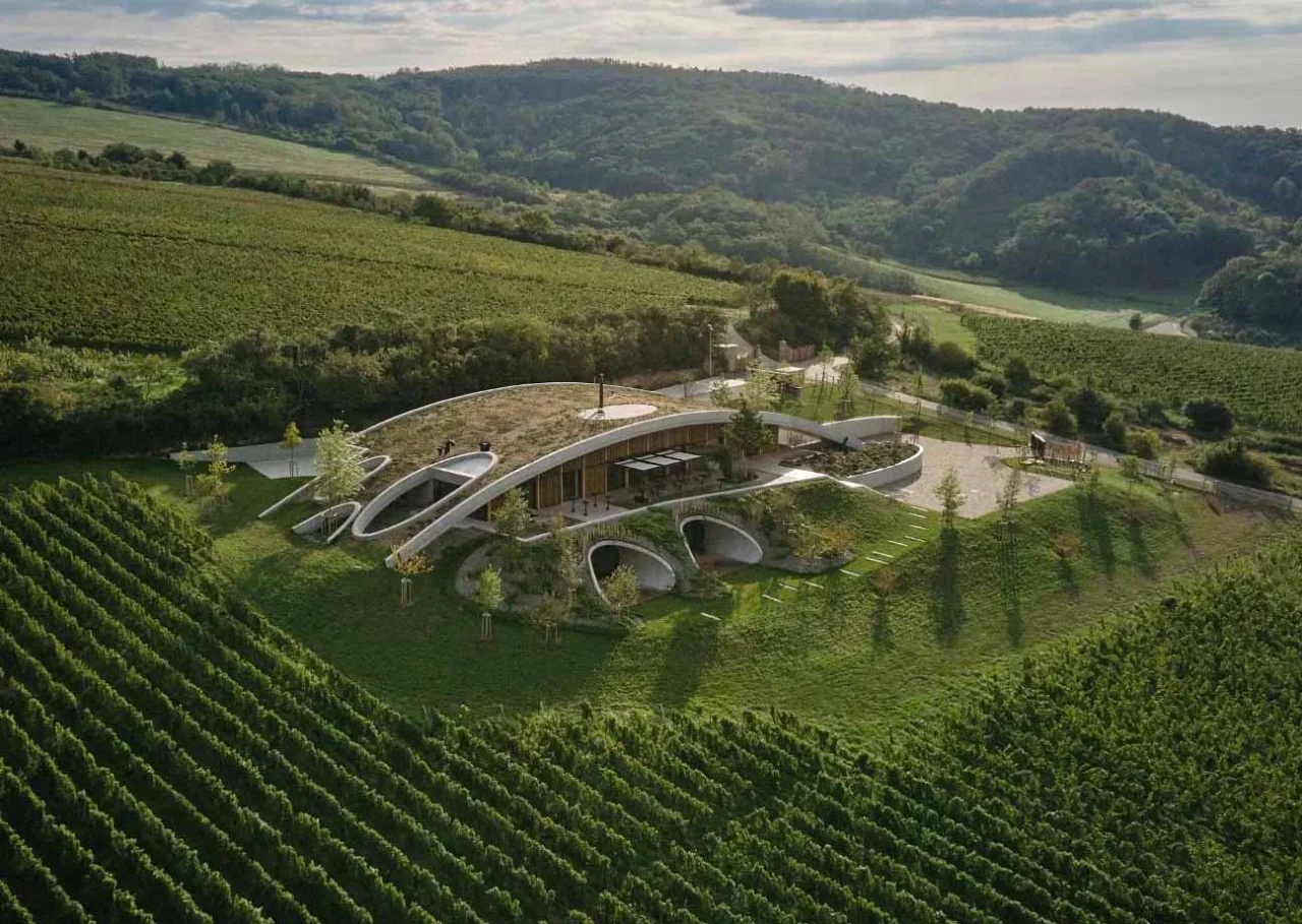 Gurdau Winery in the Czech Republic, with a curved green roof that follows the landscape