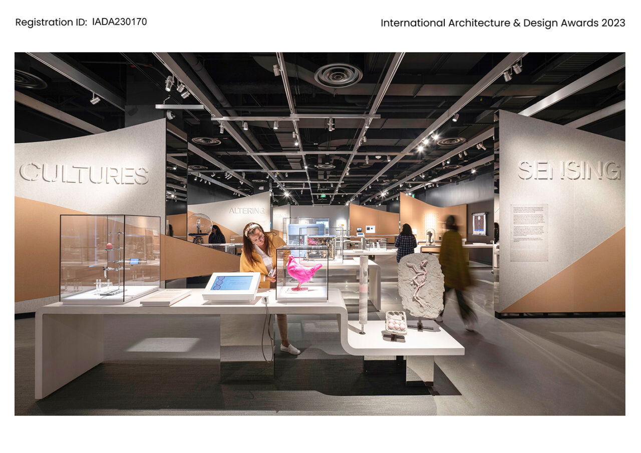 MIT Museum Exhibitions