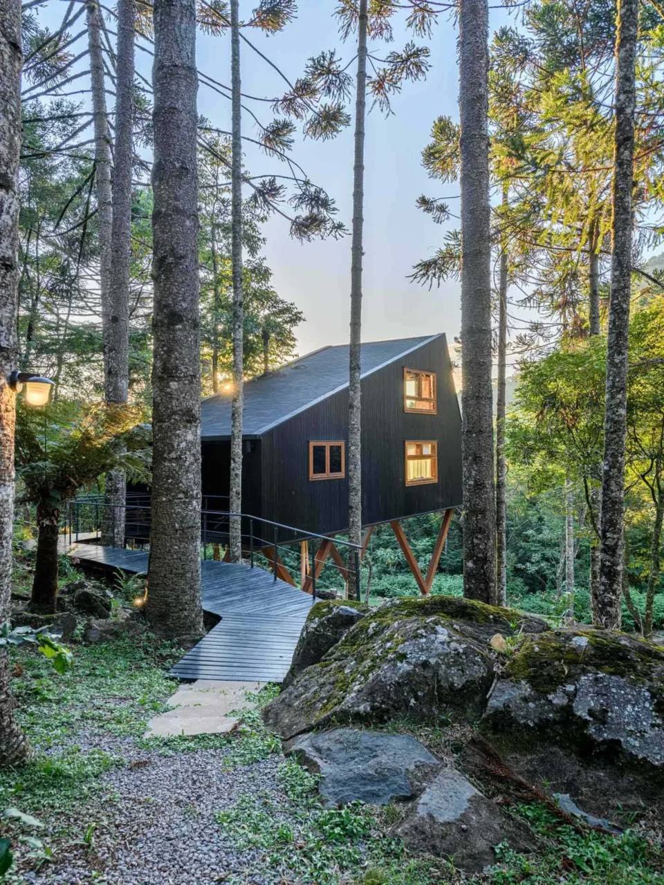 Black-stained timber tree house raised into the forest canopy