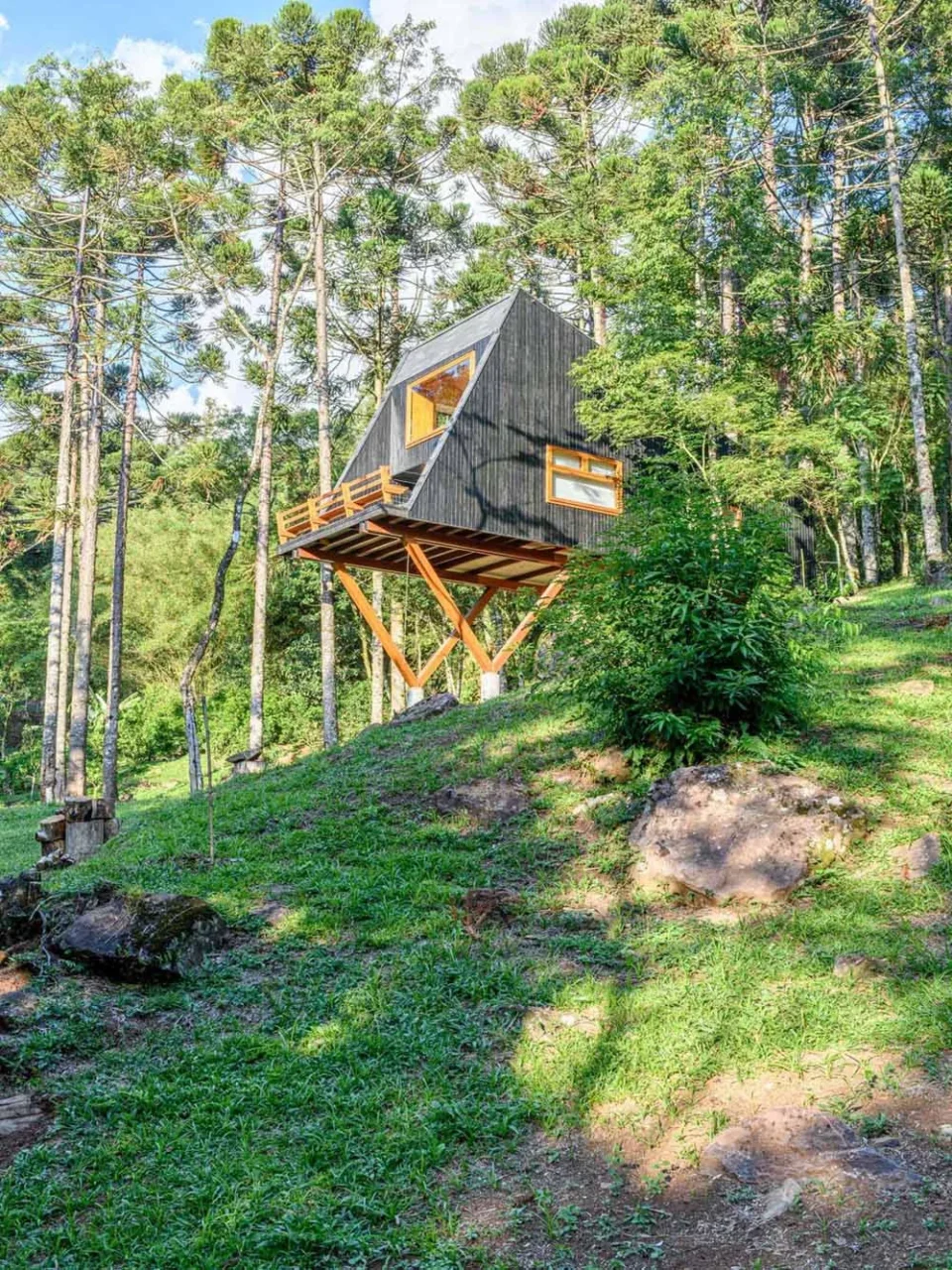 Tree house at NaCarapina seemingly floating between Araucaria trunks