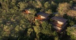 wood-houses-appear-through-the-tops-of-the-trees-at-this-nature-focused-resort