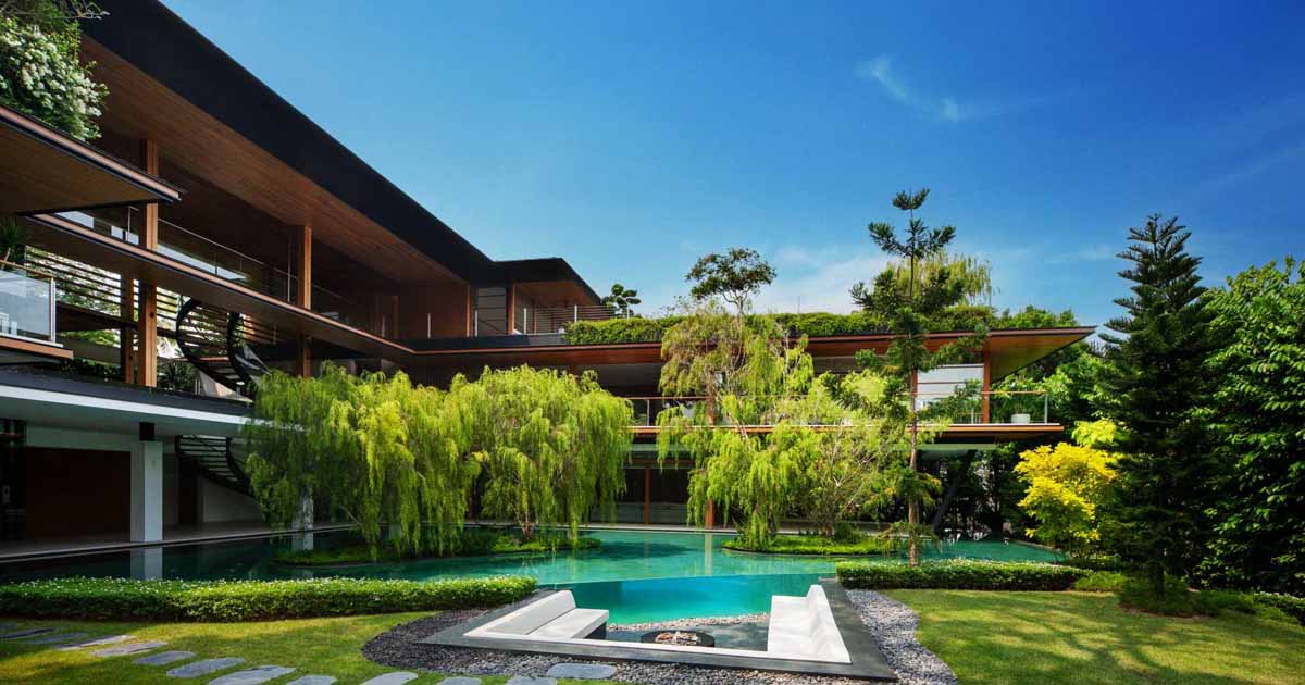 a-rain-tree-became-the-centerpiece-of-this-home's-design
