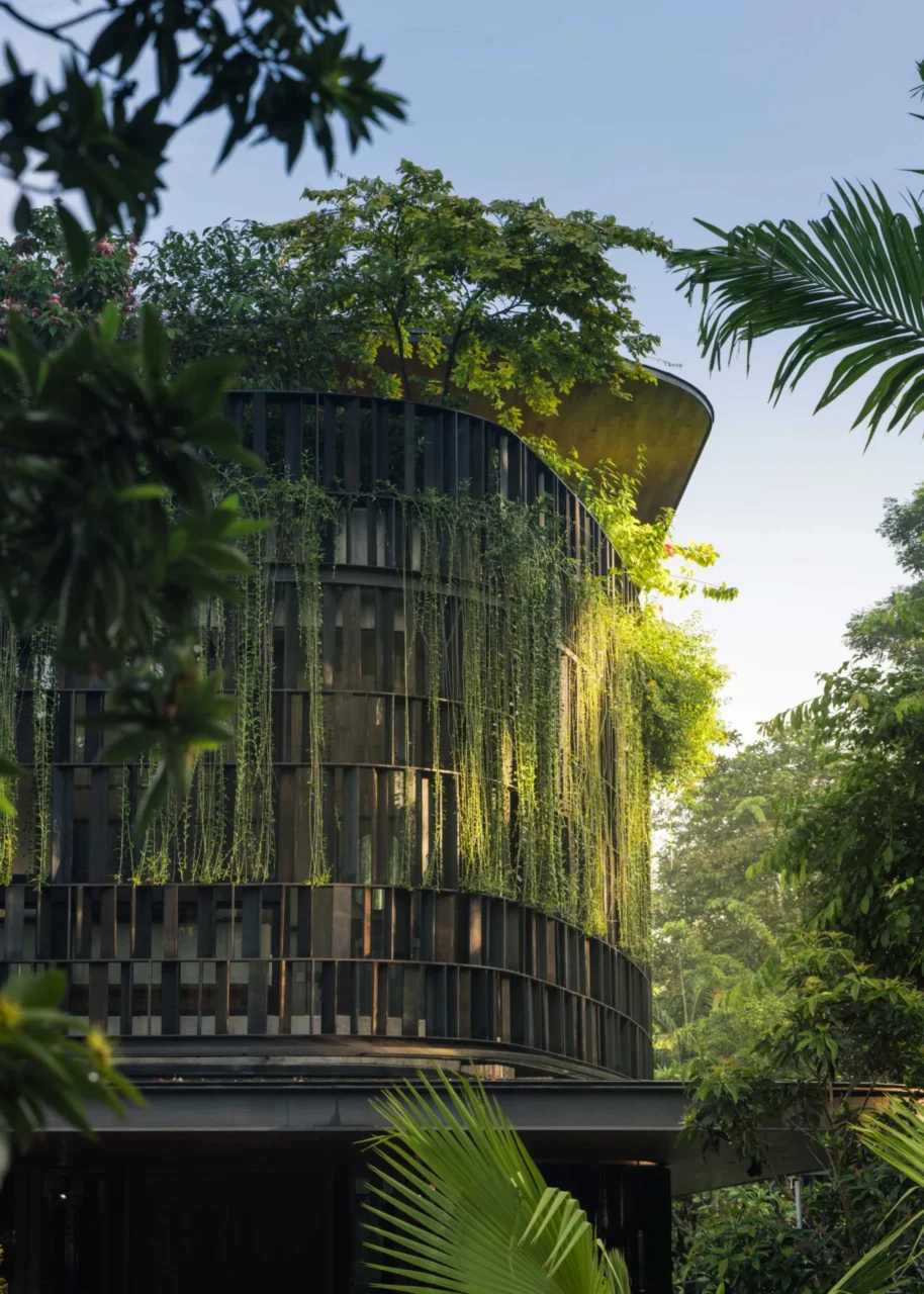 Privacy and sun screens with climbing plants on the facade of the Singapore house