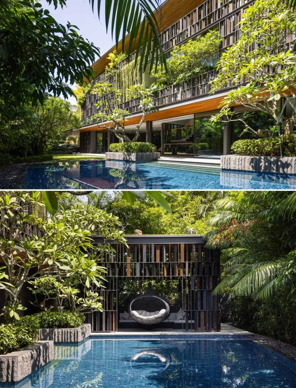 Swimming pool surrounded by tall trees beside the plant-covered home