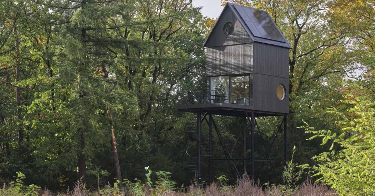 this-elevated-cabin-looks-like-a-birdhouse