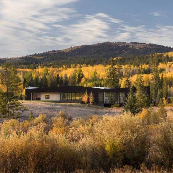 a-charred-wood-exterior-was-given-to-this-modern-home-in-the-forest