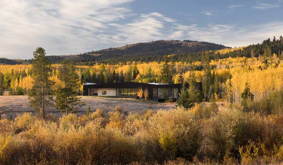 a-charred-wood-exterior-was-given-to-this-modern-home-in-the-forest