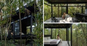 a-collection-of-off-grid-cabins-hidden-deep-in-the-jungle