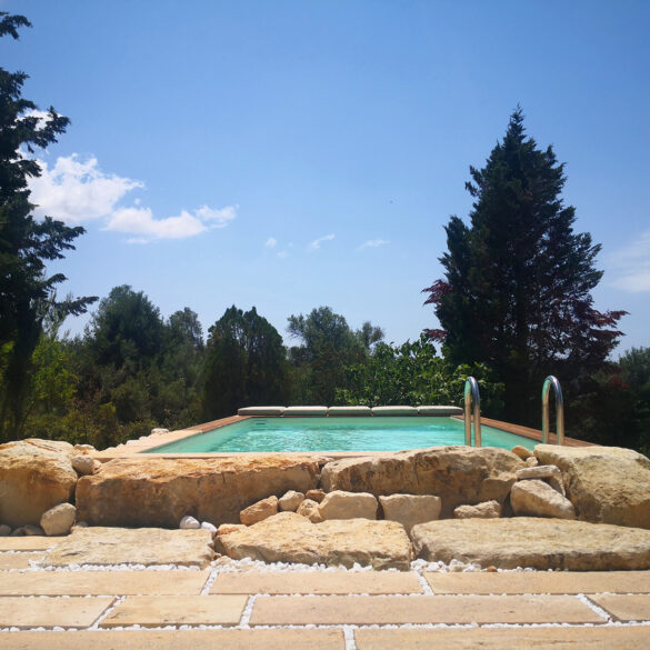 cover image IADA000048 q