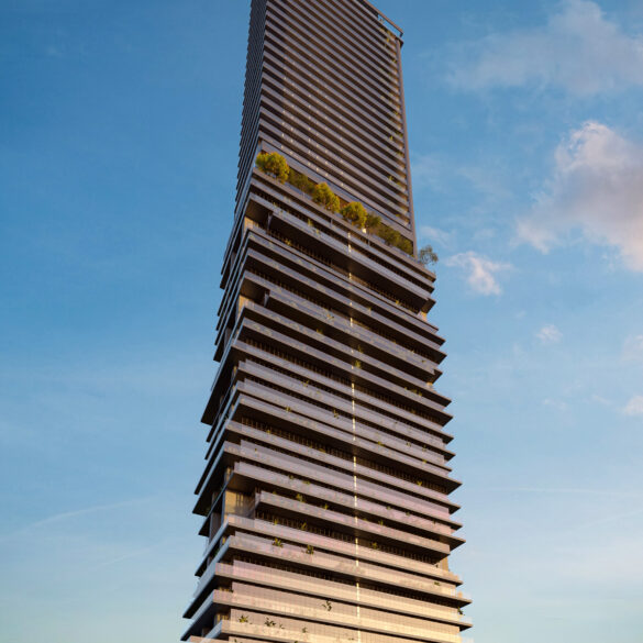 cover image IADA000256 q