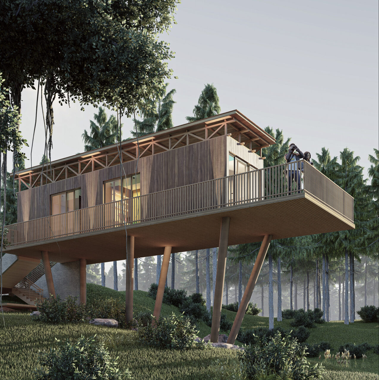 House small