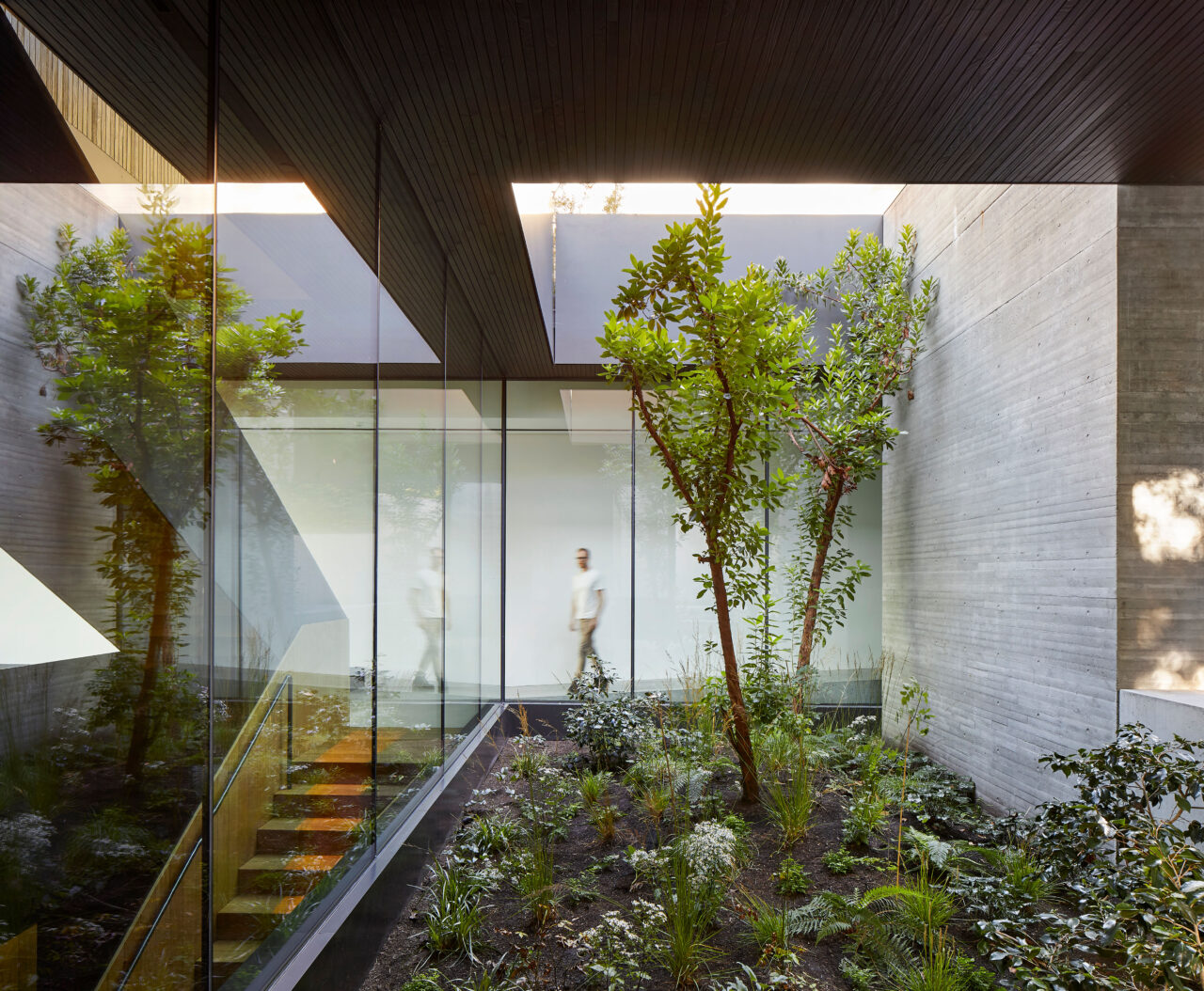 Liminal House