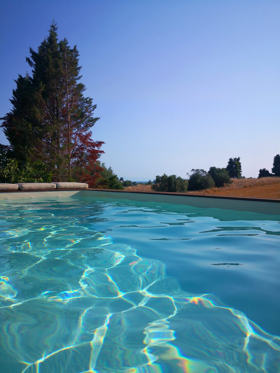 biophilic pool area design