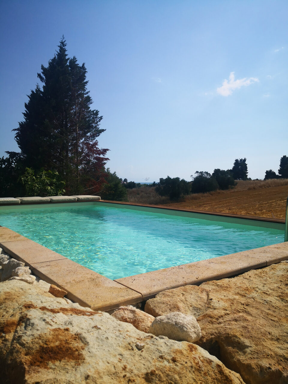 biophilic pool area design