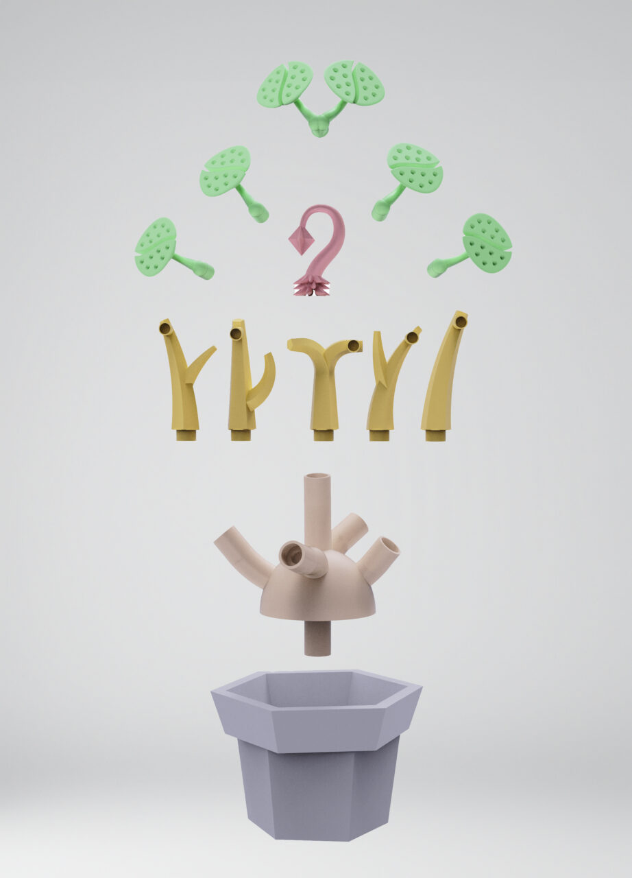The Mind Bonsai