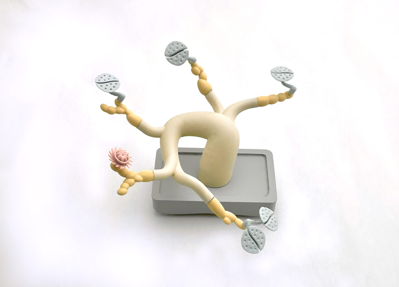 The Mind Bonsai
