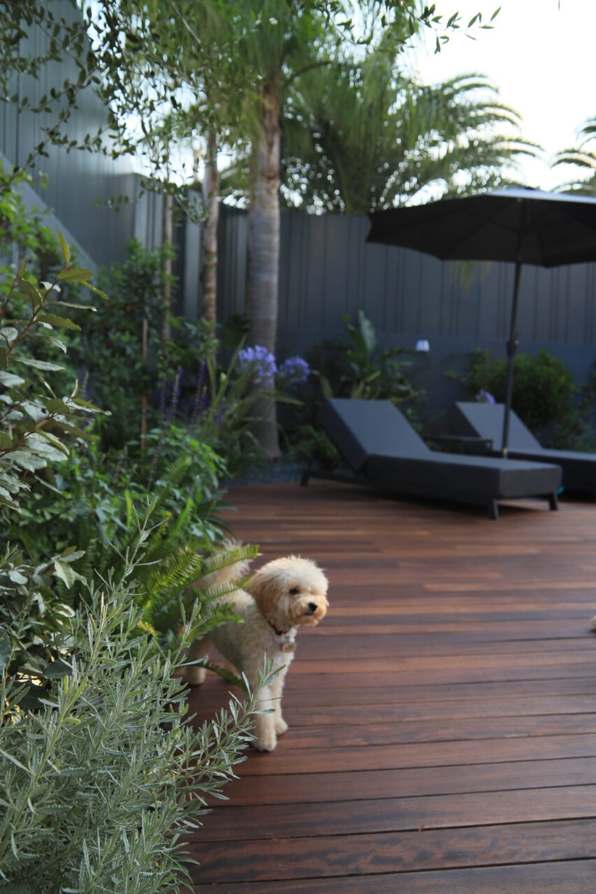 Α TROPICAL GARDEN