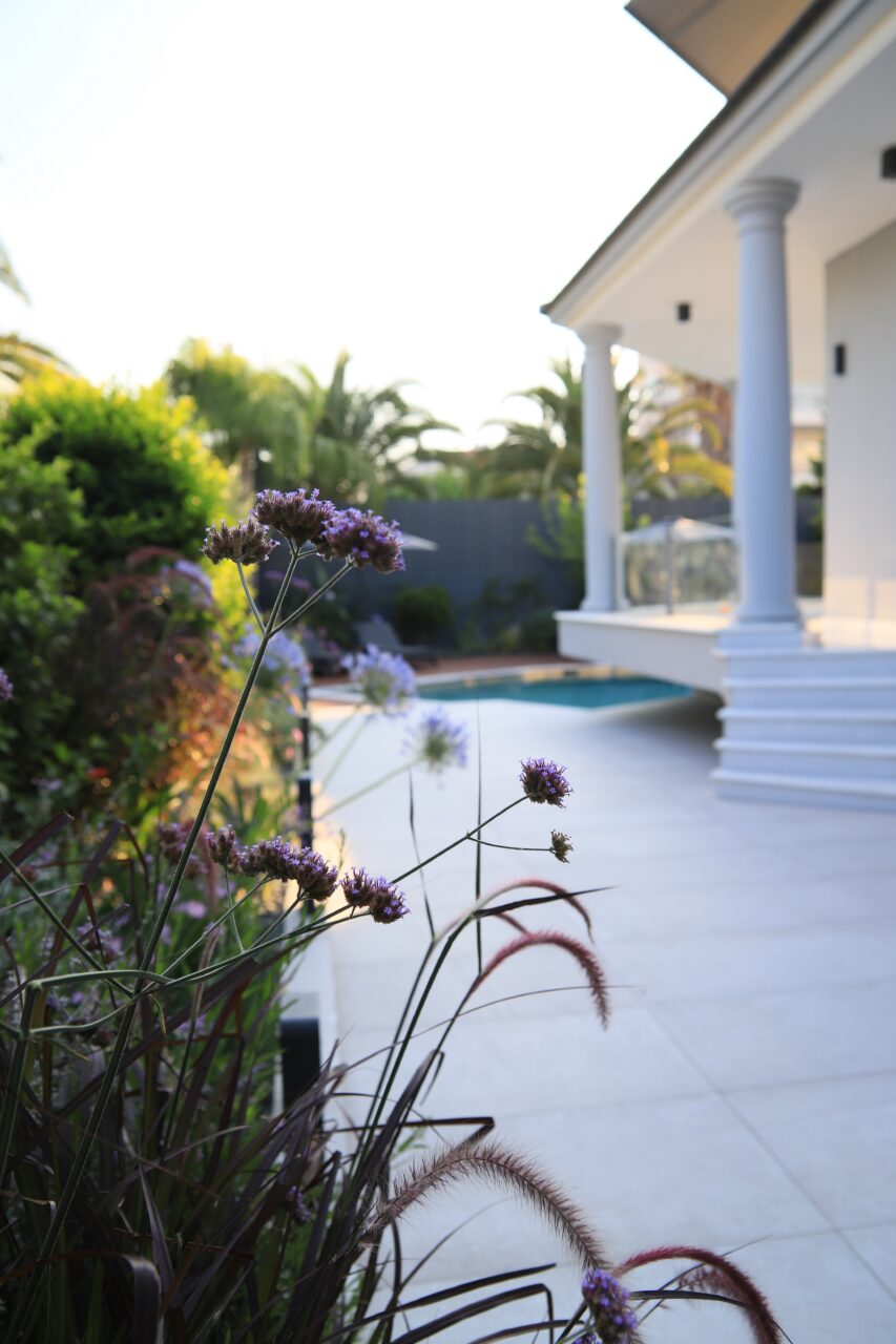 Α TROPICAL GARDEN