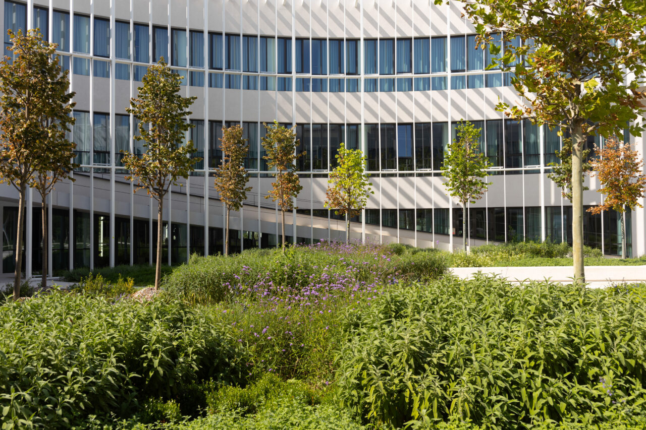Kaizen Campus