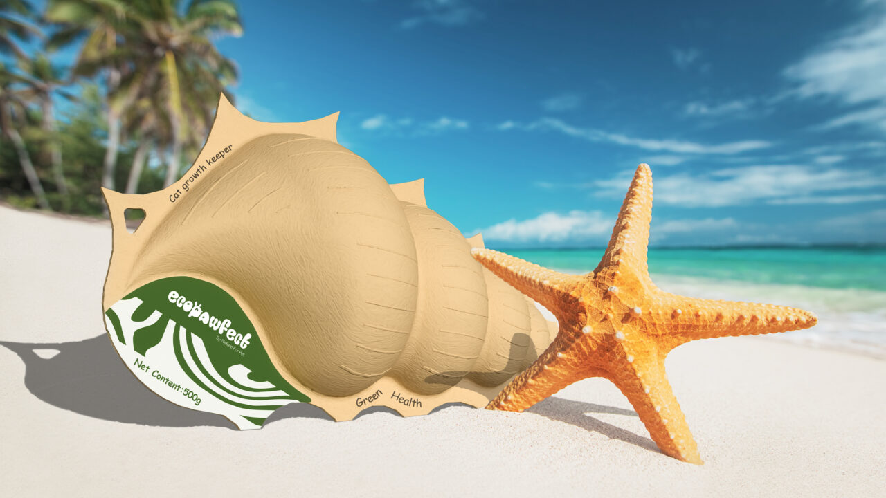 Paper Conch