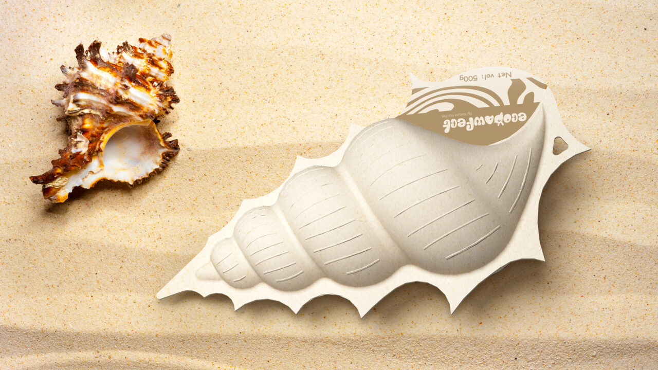 Paper Conch