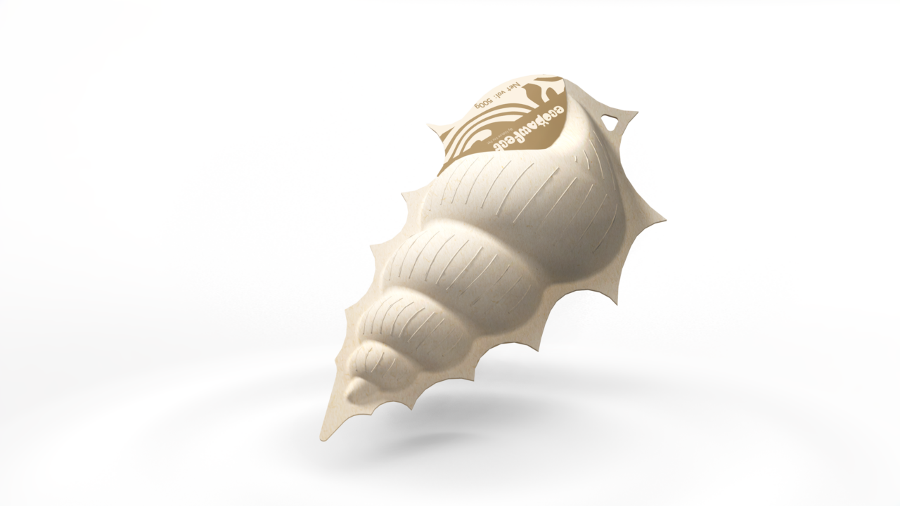 Paper Conch