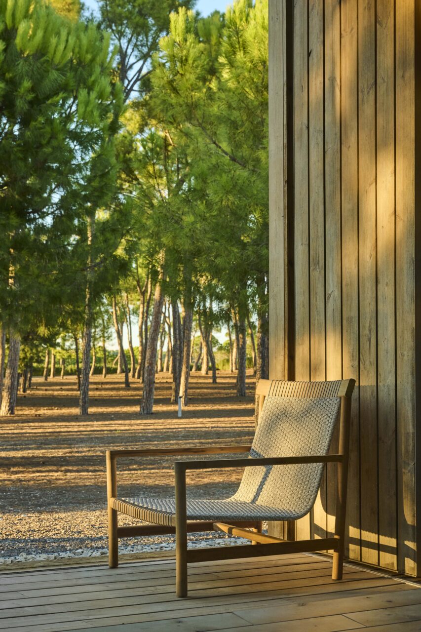 Amanu Collection