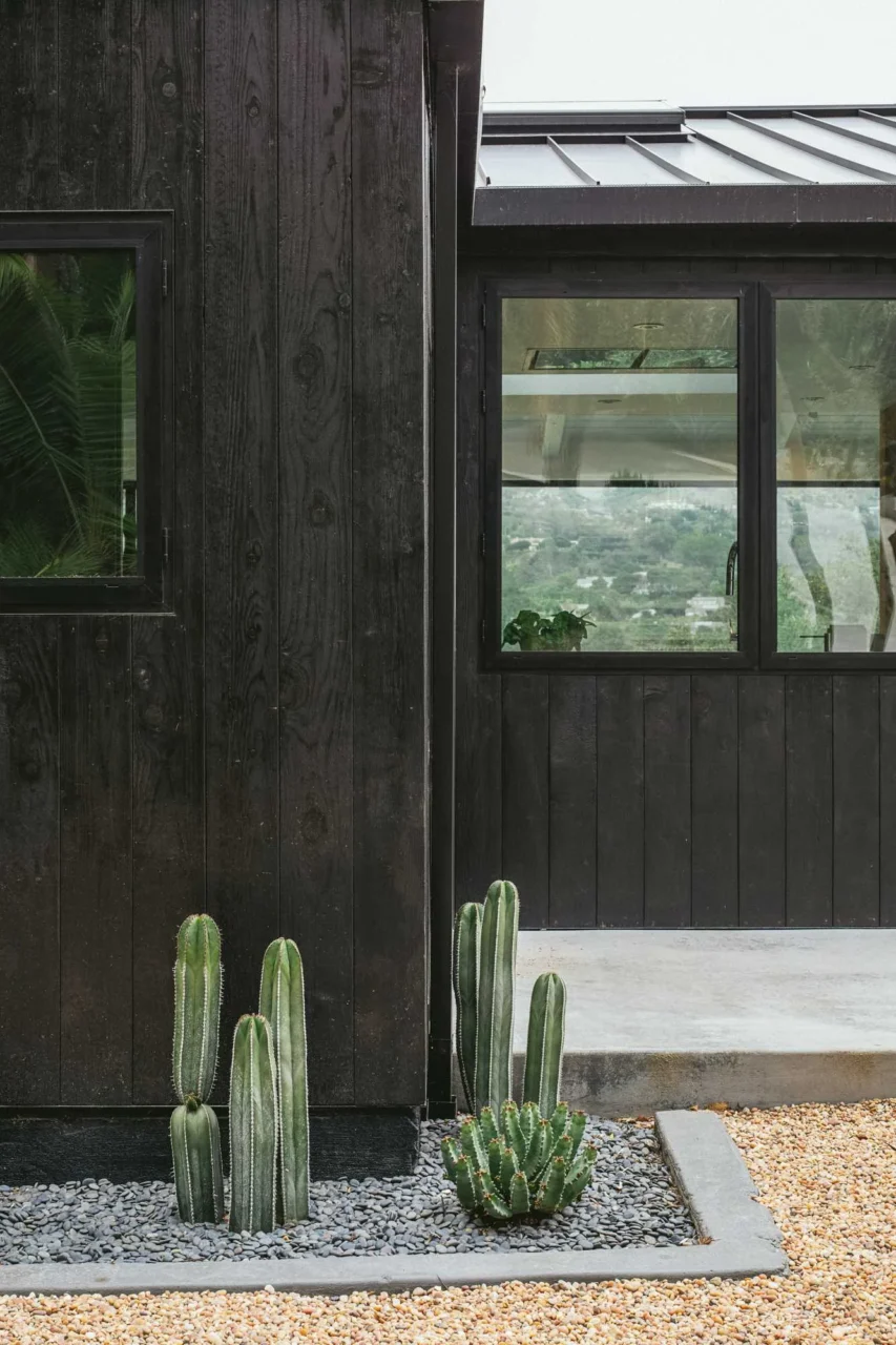 Desert-inspired planting around the black-clad renovated home