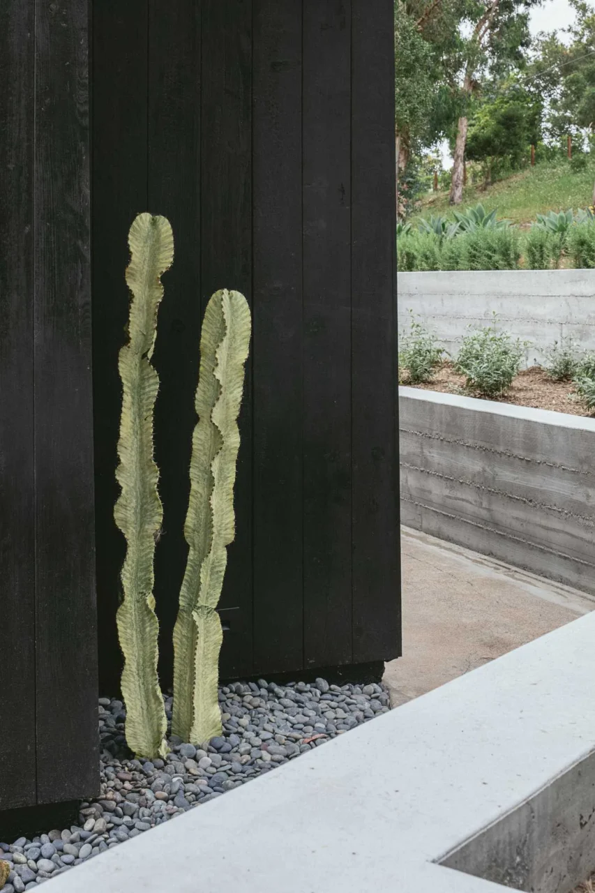 Simple desert landscaping on the hillside property in Montecito