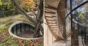 this-house-was-built-around-a-100-year-old-oak-tree