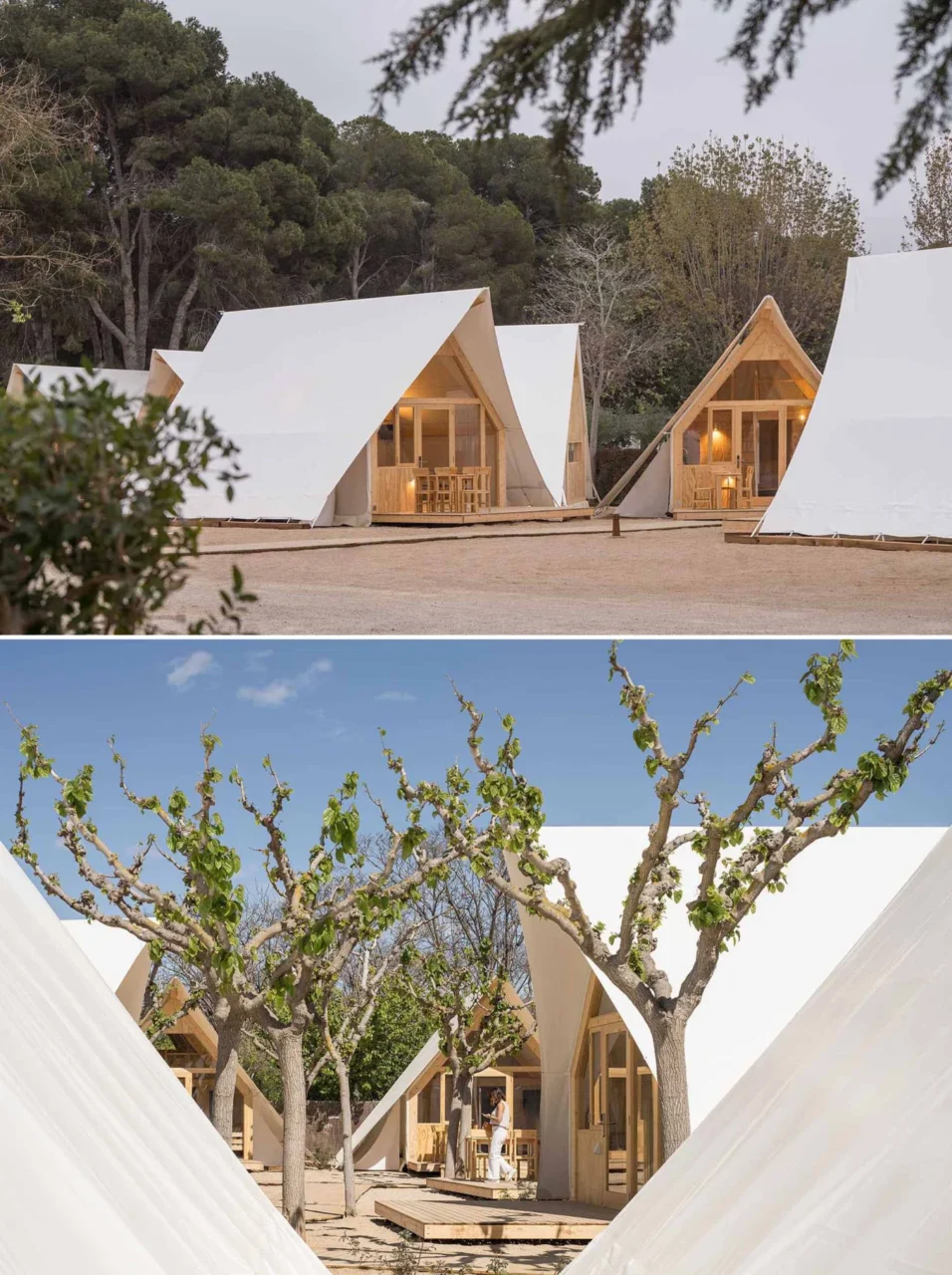 Laminated pine frame of a TipiTop tent formed by three porticoes