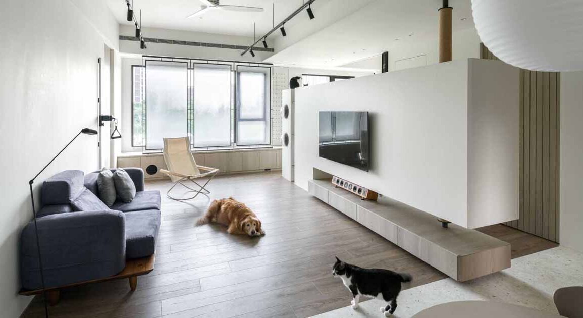 an-apartment-designed-with-cats-in-mind