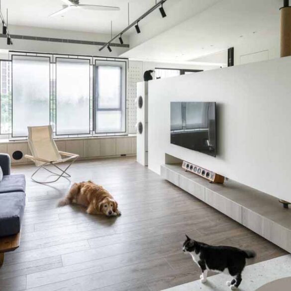 an-apartment-designed-with-cats-in-mind