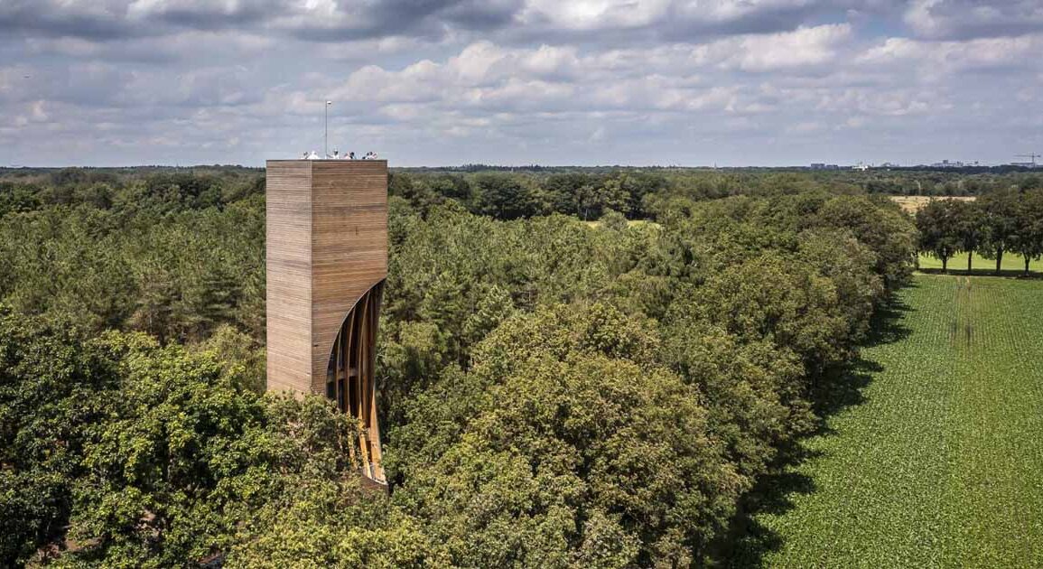 this-wood-watchtower-is-also-a-home-for-bats