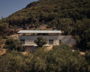 house-in-an-olive-grove-–-adc