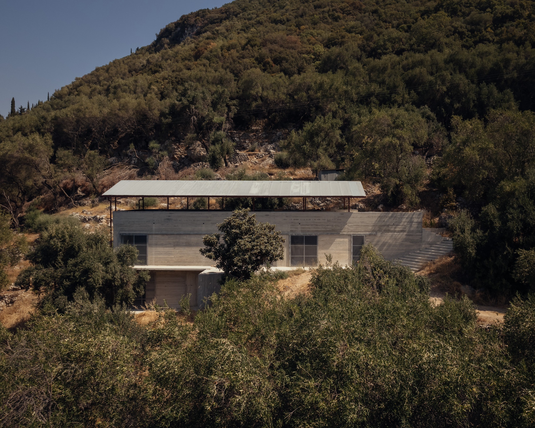 house-in-an-olive-grove-–-adc