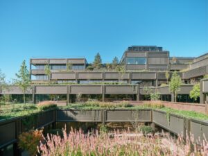 the-hanging-gardens-of-basingstoke-–-adc